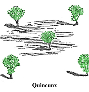 Quincunx