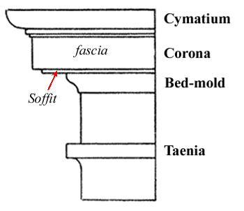 Cymatium