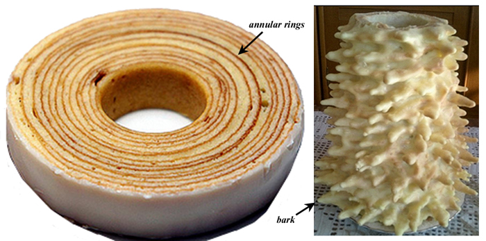 Baumkuchen